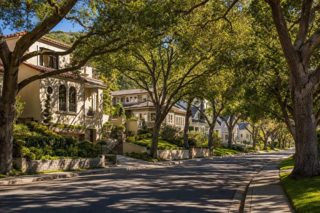 Tree-lined residential street in Piedmont, CA with large elegant homes and mature oak trees